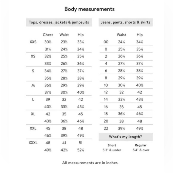 NWT Sofia Vergara peplum square neck blouse - Picture 7 of 7